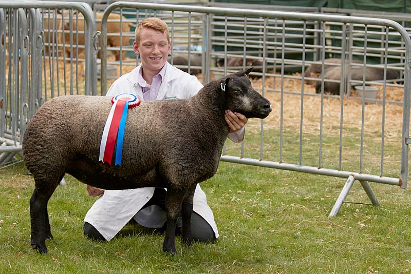 newport show scholarships