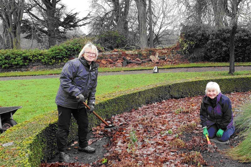 volunteers gardeing at Weston Park