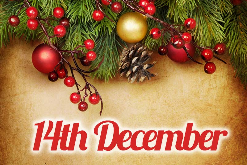 advent calendar day 14