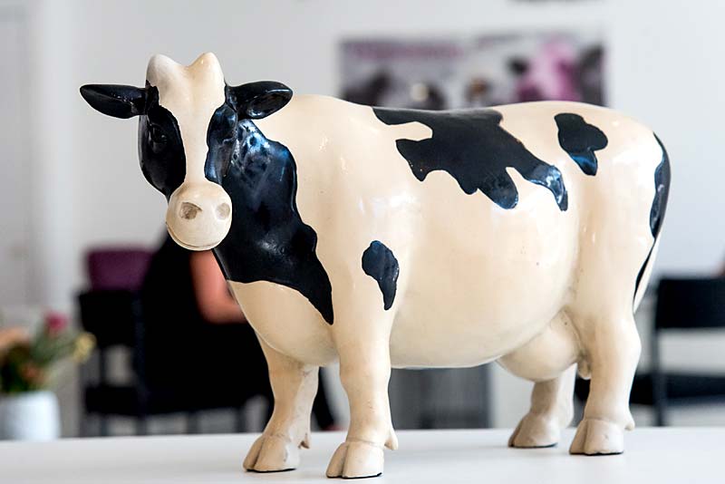 Moooooving?