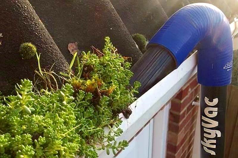 Gutter Cleaning