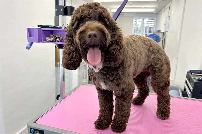 looking handsome after my full Groom