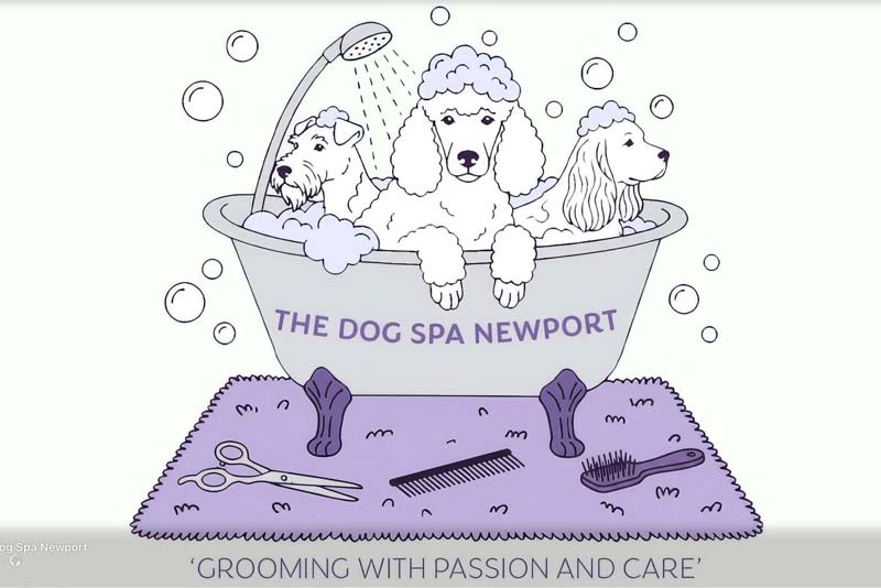 Grooming with Passion & Care
