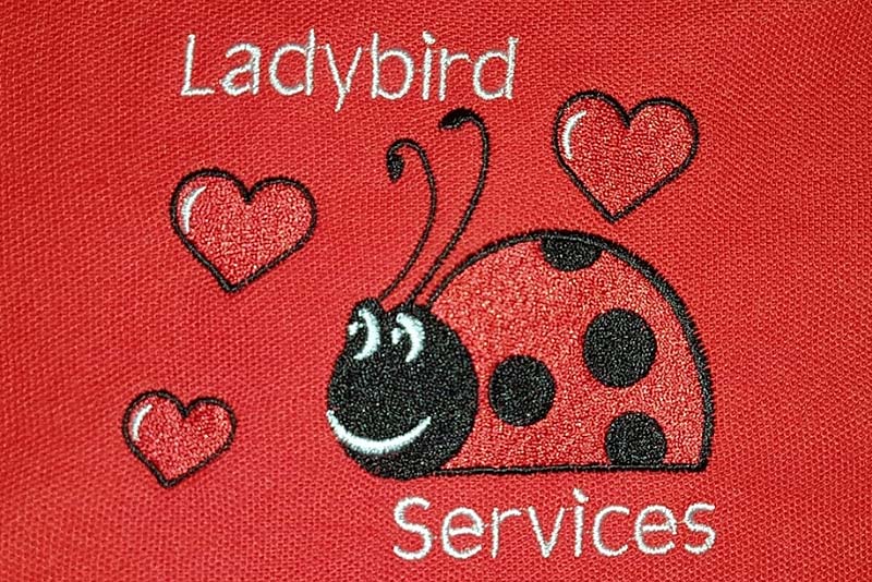 Ladybird Services photo