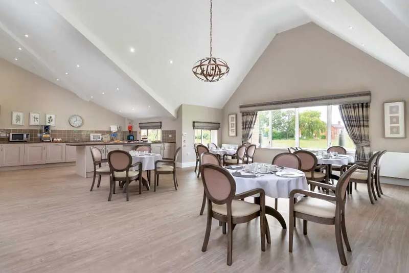 Enticing Dining Experiences