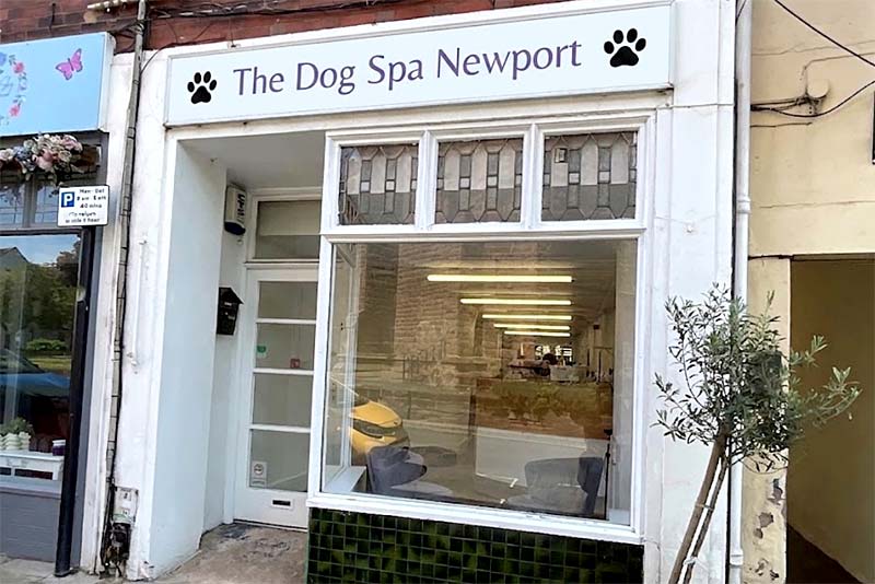 The Dog Spa Newport photo
