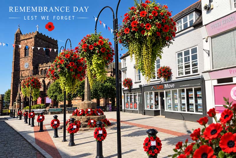 historic shropshire town newport