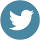 twitter icon