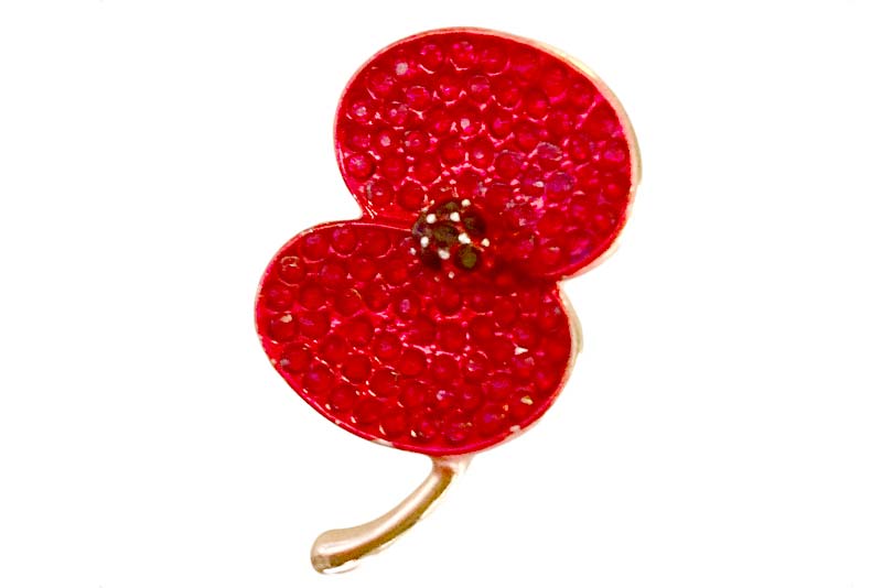 an enamelled red poppy