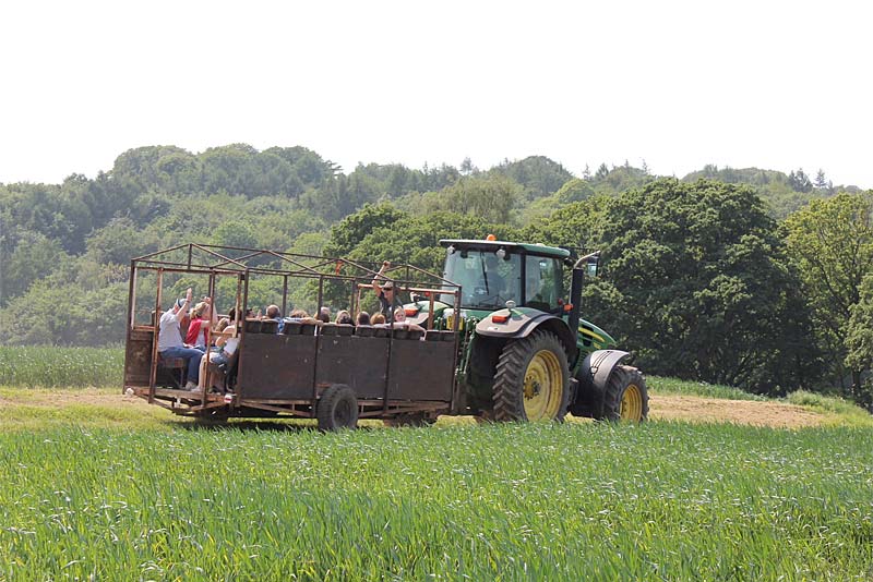 tractor ride in village field