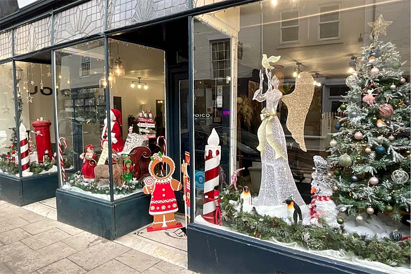 Winner Junk & Disorderly