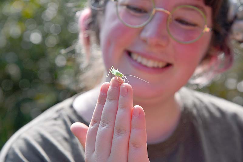 young darwin scholarship hopeful holding a grasshopper