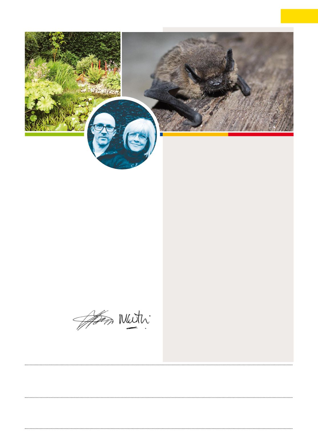 Page Background